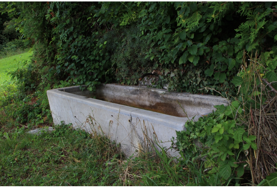 brunnenwasser-lebenselexier - Hier KEIN Trinkwasser
