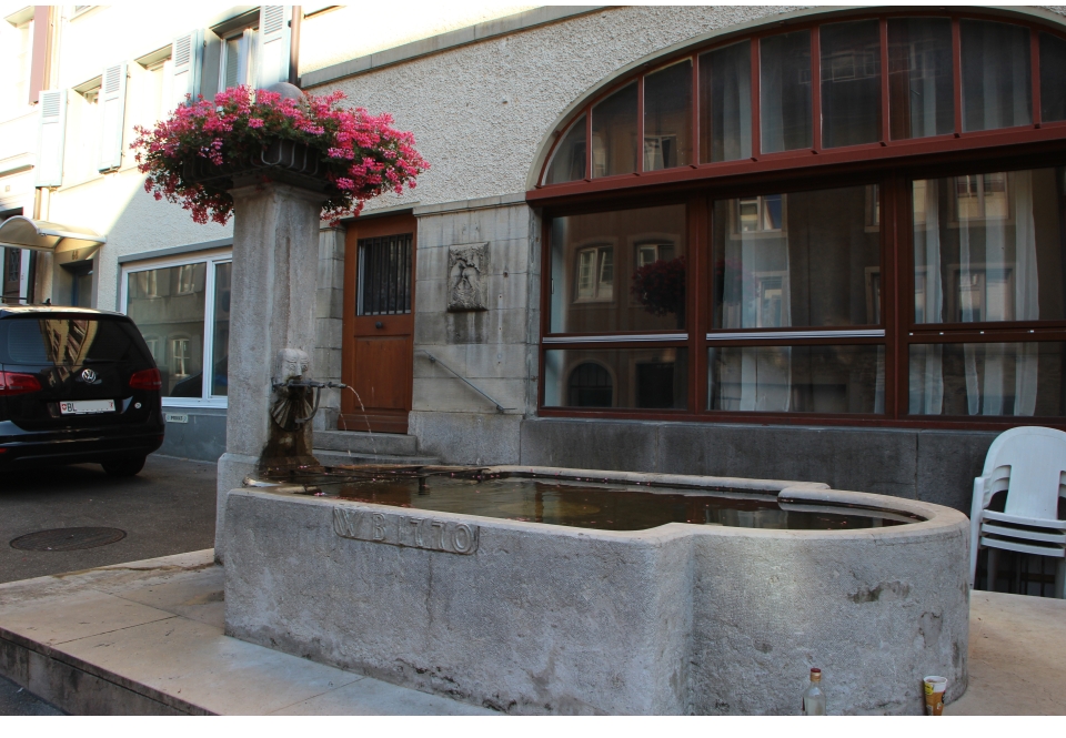 brunnenwasser-lebenselexier
