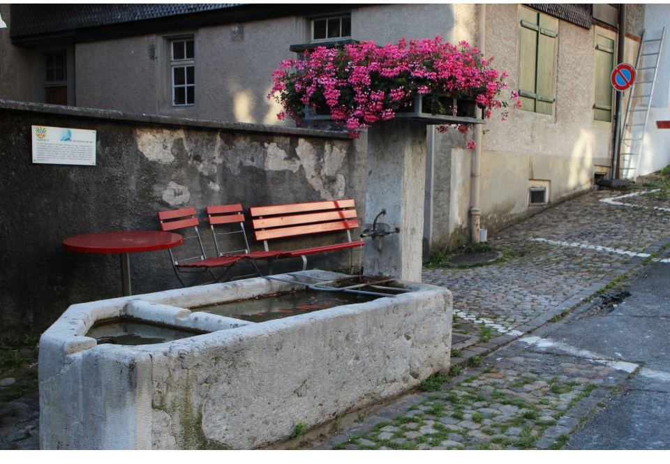 brunnenwasser-lebenselexier