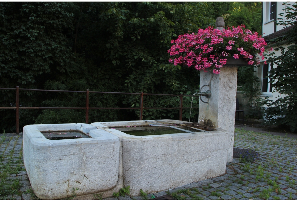 brunnenwasser-lebenselexier
