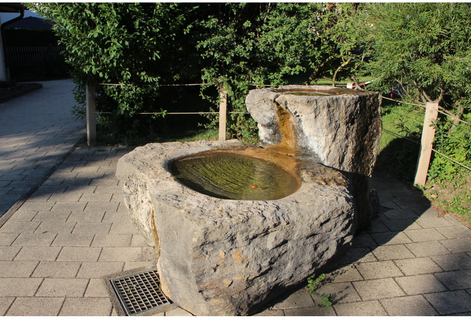brunnenwasser-lebenselexier