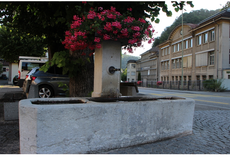 brunnenwasser-lebenselexier