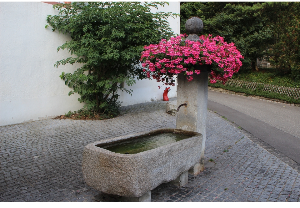 brunnenwasser-lebenselexier