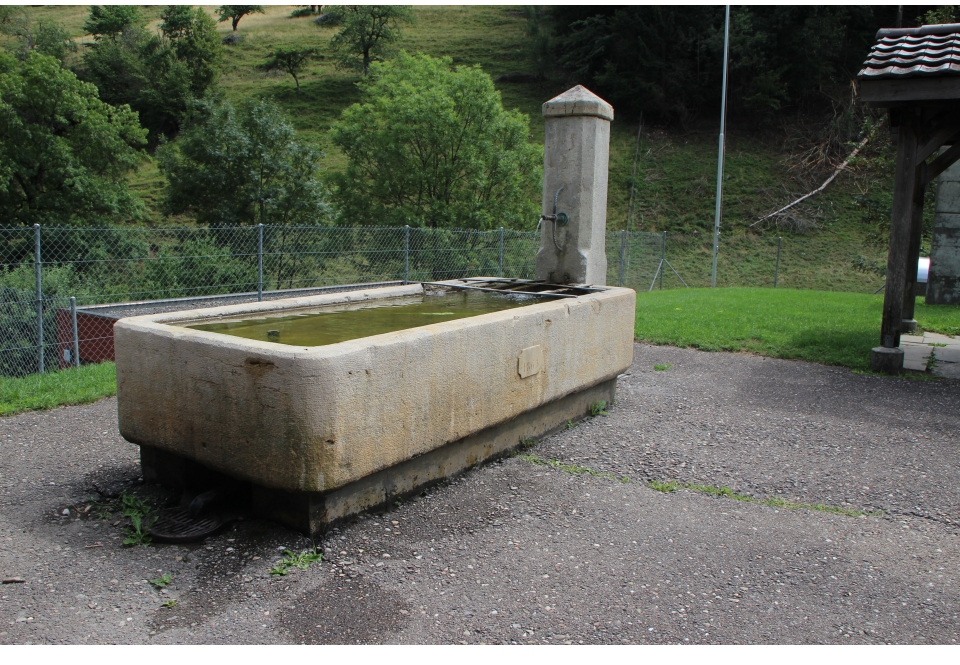 brunnenwasser-lebenselexier