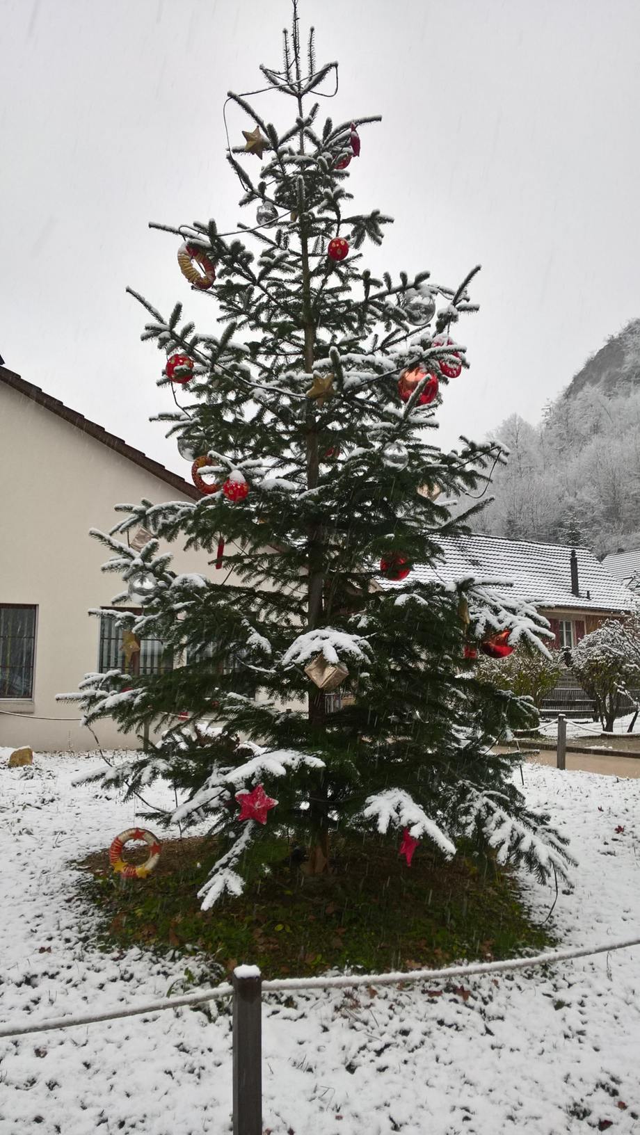 Weihnachtsbaum