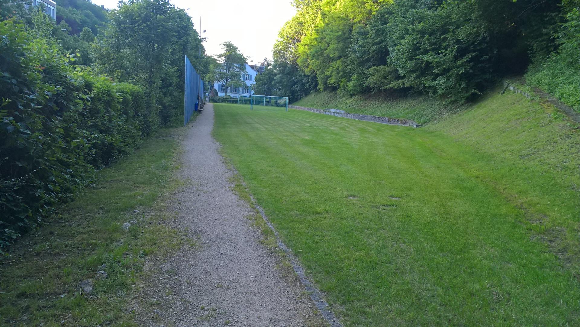 Allee - Beinahe im Grünen