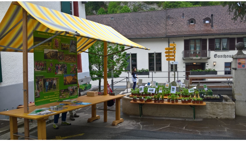 fruehlingsmarkt_23