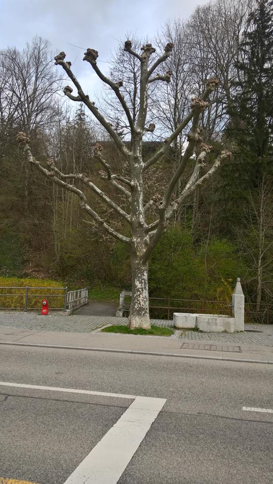 Haarschnitt