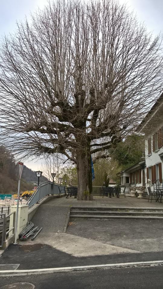 Haarschnitt