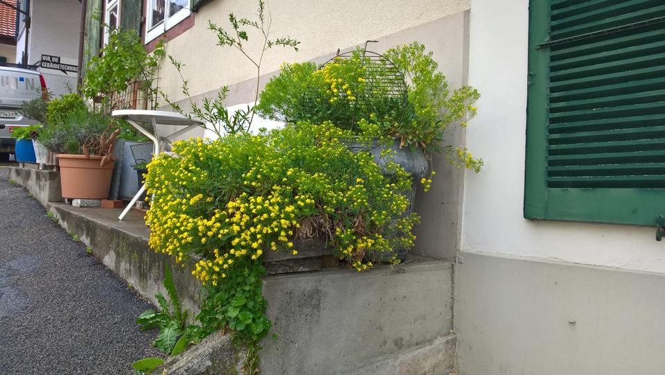 Blumenschmuck