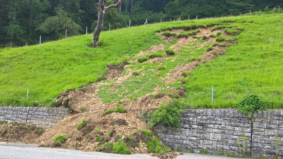 Einer der 7 von mir gesehenen Rutschungen